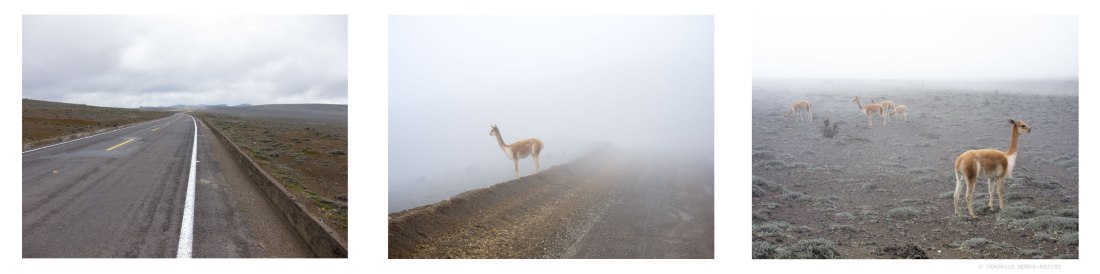 verita-visualartistecuador_serie3